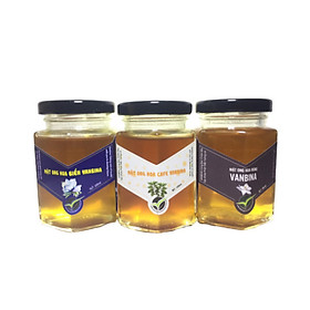 Mật ong thiên nhiên hữu cơ nguyên chất Combo 3 chai 250gr Mật hoa Rừng + Mật hoa Biển + Mật hoa cà phê Vanbina chất lượng Xuất khẩu