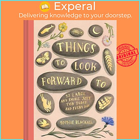 Sách - Things to Look Forward To by Sophie Blackall (US edition, hardcover)
