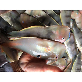 Cá mó làm sạch - Khay 500g