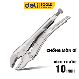 Mua Kìm Bấm Chết Mỏ Cong Deli Cao Cấp Chính Hãng 10 Inch Miệng Thẳng - Chất Liệu Chống Mòn  Gỉ  Siêu Bền  Chắc Chắn DL109010