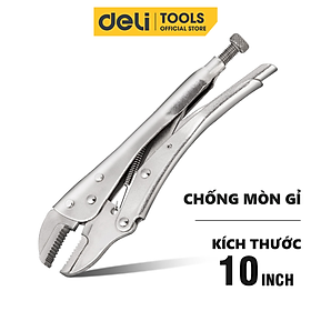 Hình ảnh Kìm Bấm Chết Mỏ Cong Deli Cao Cấp Chính Hãng 10 Inch Miệng Thẳng - Chất Liệu Chống Mòn, Gỉ, Siêu Bền, Chắc Chắn DL109010