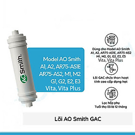 Mua Lõi máy lọc nước A. O. Smith Vita  Vita Plus - Hàng chính hãng