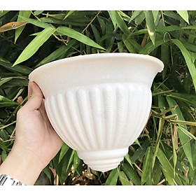 Combo 2 chậu hoa ốp tường nhỏ trắng 22 x 15.5cm