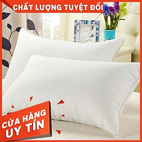 Mua Ruột gối 2 chiếc gối bông hạt cao cấp 100% bông trắng ( được xem hàng)