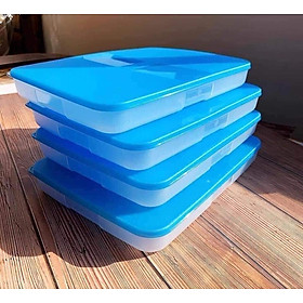Mua Set hộp trữ đông 650ml Thấp (dẹt) Tupperware  siêu tiện lợi