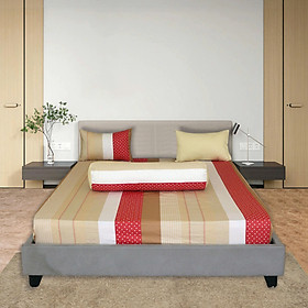 Bộ drap gối cotton phối màu Hometex