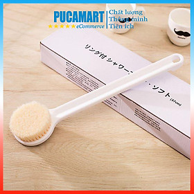 Mua  Loại Tốt  Bàn Chải Cọ Lưng Muji Nhật Bản Loại Có Hộp Xin Sò  Giúp Tẩy Da Chết  Lưu Thông Máu  Massage Cơ Thể