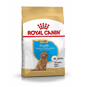 Hạt Thức Ăn Khô Royal Canin Cho Chó Poodle Con 500g – Royal Canin Poodle Puppy