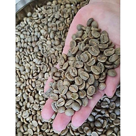 Mua Cà Phê Nhân Xanh Arabica Sàng 16-18 chất lượng tuyệt vời (1kg)