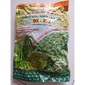 Hạt giống đậu xanh cao sản ĐX-208 công ty giống cây trồng miền nam gói 1kg