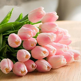 Mua Combo 10 cành Hoa Tulip Hoa giả trang trí nhà cửa văn phòng decor chụp ảnh DC-25