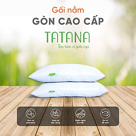 Mua Combo 2 Gối Nằm Gòn  TATANA  Cao Cấp 50x70cm-Êm Mềm  Bền Đẹp  Giặt Máy Dễ Dàng