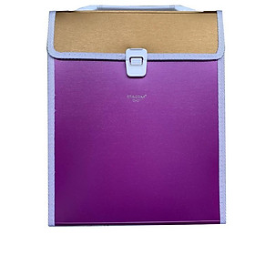 CẶP 12 NGĂN KHỔ ĐỨNG A4 STACOM - D401