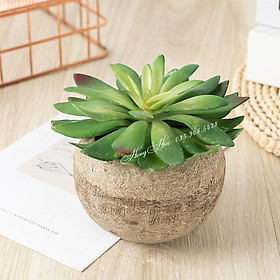 Mua Hoa Giả - Hoa Sen Đá Giả Đường Kính Bông 12 cm