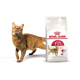 Royal Canin Fit 32 Thức ăn cho mèo bao 10 kg