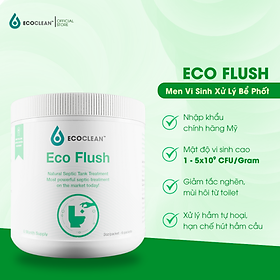 Hộp 6 Gói Vi Sinh Xử Lý Hầm Tự Hoại, Bồn Cầu Bị Đầy, Tràn - EcoFlush - Túi Gói Tự Phân Huỷ