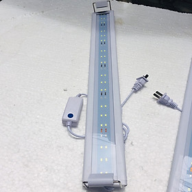 Đèn led hồ cá , hồ thủy sinh 