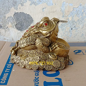 Mua Cóc ôm tiền chữ Phúc  Cóc ngồi tiền  cóc 3 chân cao 13cm