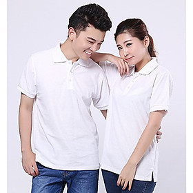 Áo thun cổ bẻ cá sấu 4 chiều màu trắng