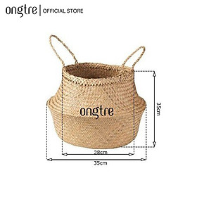 Giỏ cói trơn trồng cây/decor/đựng quần áo/đựng vật dụng nhỏ, Hàng XK Châu Âu (Φ 20/25/30/35/40)