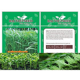 Mua GÓI 50Gr & GÓI 100Gr Hạt Giống Rau Muống Cao Sản GIỐNG RAU ĂN LÁ  GIỐNG RAU CỦ QUẢ