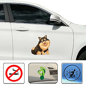 Decal xe chó lông xù đáng yêu