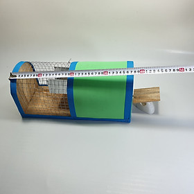 Mua Lồng bắt Chuột Mini_ Bẫy chuột bập bênh tự động Thông Minh_ BCTM86 - 42cm