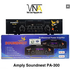 Amply SOUNDNEST PA 300