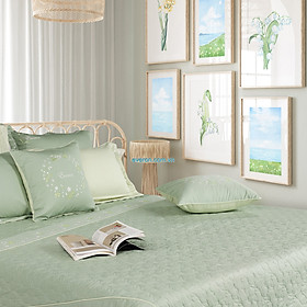 Mua Vỏ gối ôm 60*80 ESM 24013 EVERON