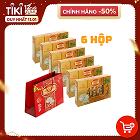 Thùng 06 hộp Túi Xuân Yến Sào win Snest Tổ Yến Chưng Sẵn 20% Nhân Sâm Ít