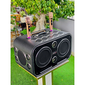 Mua Loa Xách Tay Nghe Nhạc karaoke DVD 179 PRO Công Suất 600W  24 đường tiếng  Bass đôi 25cm  kèm micro không dây Cao Cấp Hàng Nhập Khẩu