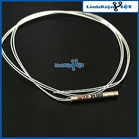 Mua Dây Cảm Biến Nhiệt Độ PT100 WZP