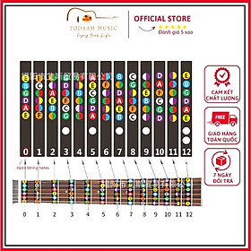 Mua Miếng Dán Nốt Nhạc Guitar  Giúp Học Scale Pentatonic nhanh hơn rất nhiều