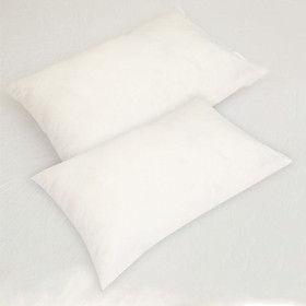 Mua Cặp Gối Hơi Cao Cấp Hàng Xuất Dư 45 X 65 CM