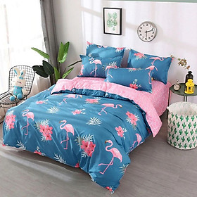 Bộ chăn ga gối Cotton cao cấp 1m6x2m MNT255