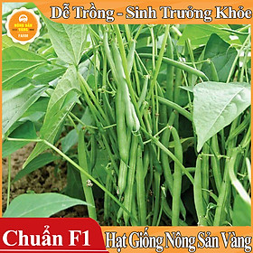 Hạt giống Đậu Cove Bụi Lùn ( Gói 10 Gram )