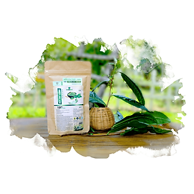 BỘT TRÀ XANH NGUYÊN CHẤT (100gr)