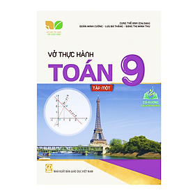 Sách - Vở thực hành Toán 9 Tập 1 (Kết nối tri thức với cuộc sống)