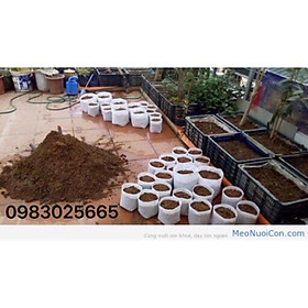 Combo 5 túi vải ko quai kích thước 20x20cm