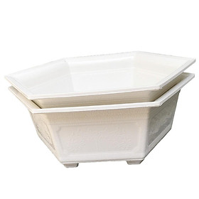 Combo 2 chậu hoa bonsai lục giác đường kính 28cm Trắng-Đồ Gia Dụng Tại HCM