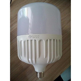 Bóng đèn Led ngoài trời LED-65W