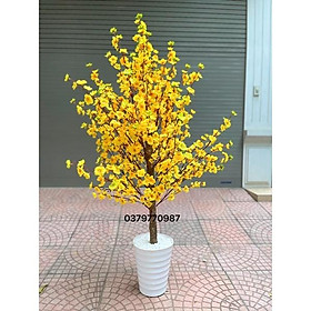 Mua Cây Hoa Đào giả  cây hoa mai giả trang trí decor nội thất phòng khách phụ kiện chụp ảnh Tết