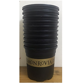 10 Chậu MONROVIA CH Garden 2Gal