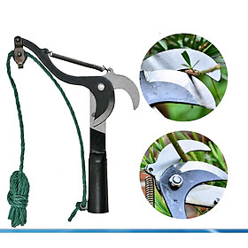 Mua Kéo cắt cành tỉa cây cảnh hái hoa quả trên cao siêu bén loại tốt hàng gia công chất lượng cao