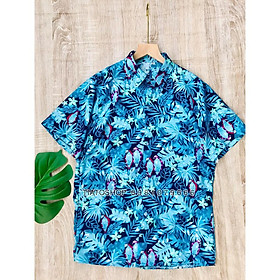 Ảnh có sẵn miễn phí về áo sơ mi hawaii chân dung con trai đàn ông đẹp  đẹp trai đối mặt màu xanh da trời mô hình người người lớn nhìn vào