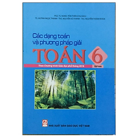 Sách Các Dạng Toán Và Phương Pháp Giải Toán 6 Tập 2