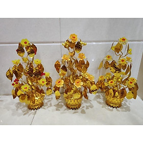 Mua Cây tài lộc cao 35cm
