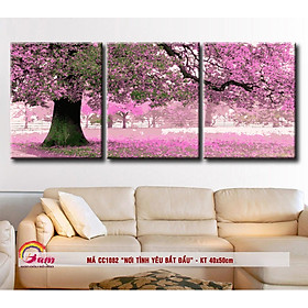 Mua Tranh sơn dầu số hóa tự tô màu Gam CC1082 40x50cm bộ 3 bức căng sẵn khung