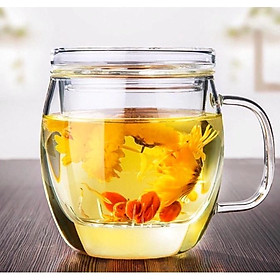Mua Cốc thuỷ tinh lõi lọc pha trà hoa500ml - Hàng Chính hãng