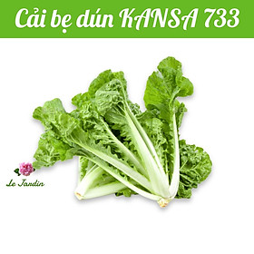 Hạt giống cải bẹ dún KANSA 733 gói 20gr - DỄ TRỒNG